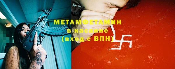 индика Каменка