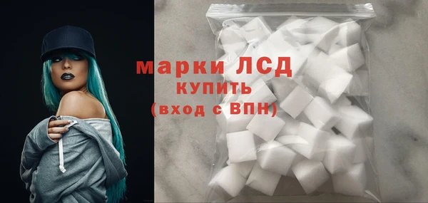 стафф Кодинск