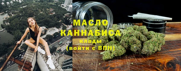 индика Каменка