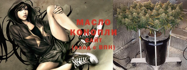 индика Каменка