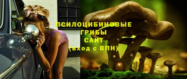 метамфетамин Козловка