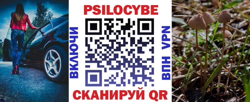Галлюциногенные грибы MAGIC MUSHROOMS  Купить где  Красавино 